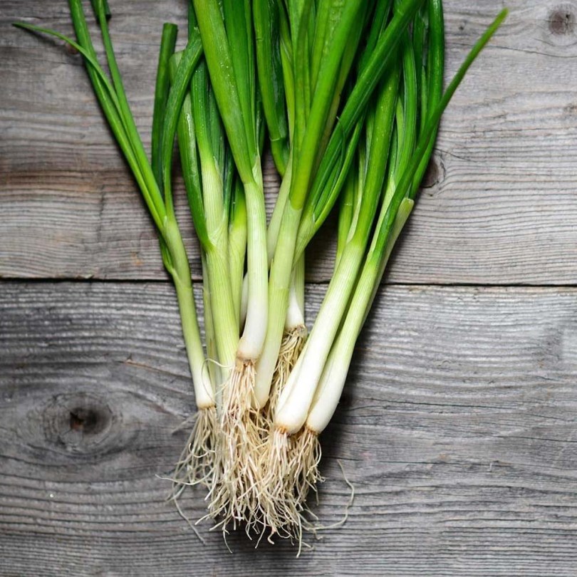 Japán sarjadékhagyma Ishikura - Kaigaro, Allium fistulosum, gyökérzöldség, zöldség